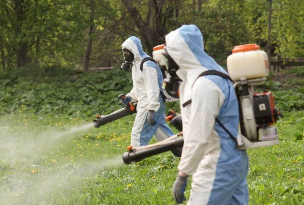 ФОТО Уничтожение клопов в Егорьевске