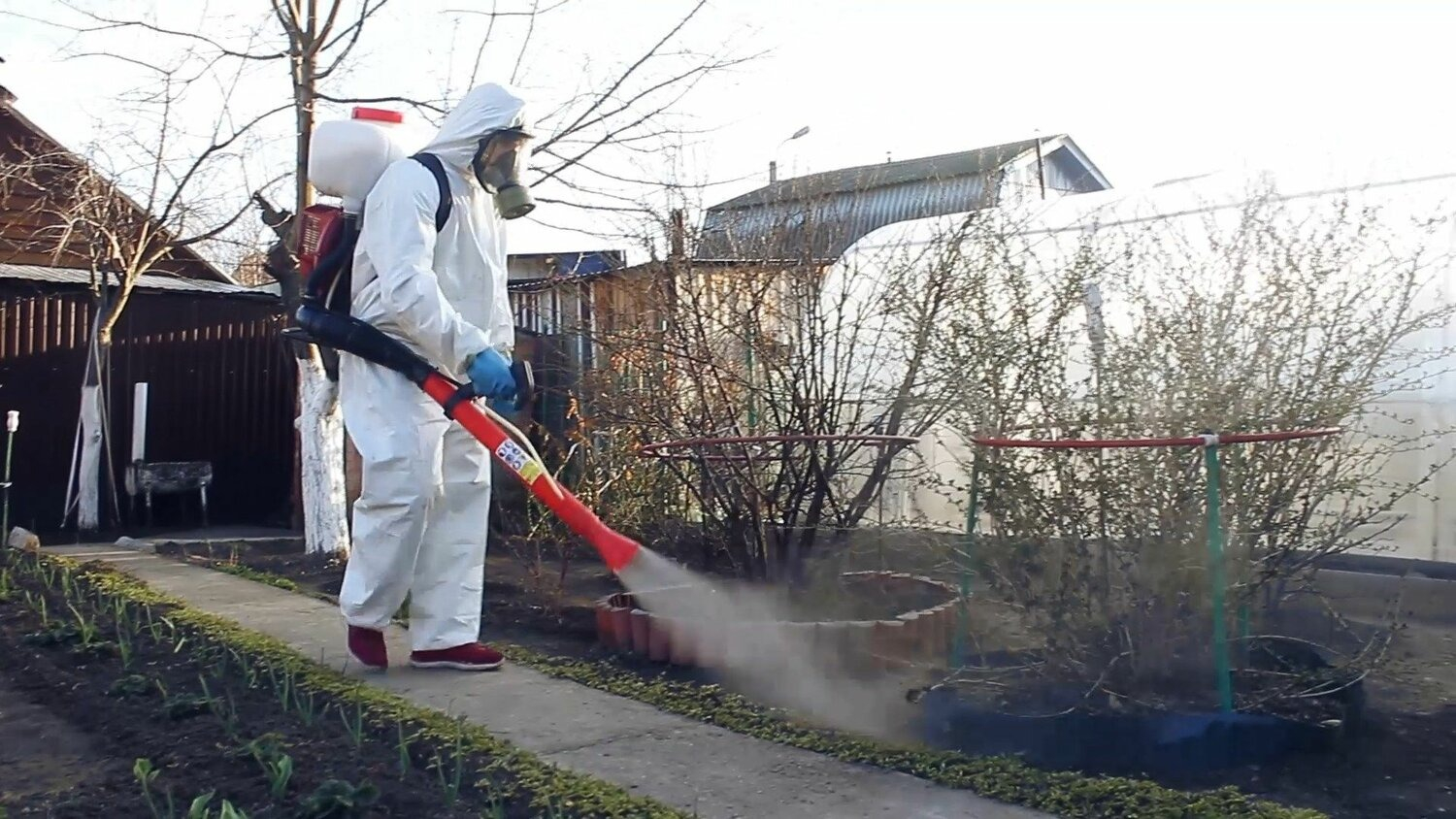 ФОТО Уничтожение муравьёв в Егорьевске