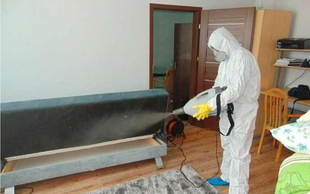 ФОТО Уничтожение блох в Егорьевске