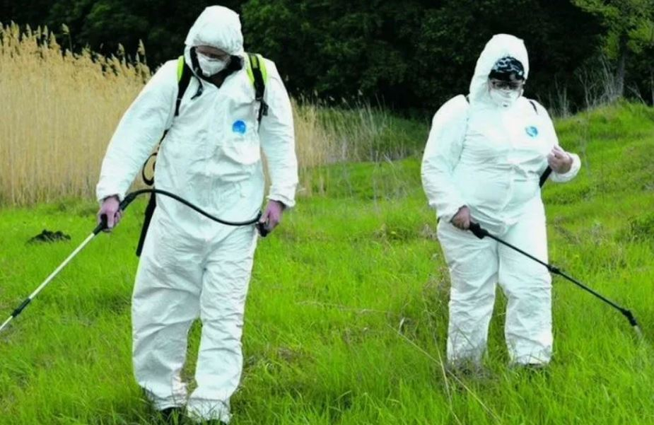 ФОТО Обработка от клещей в Егорьевске