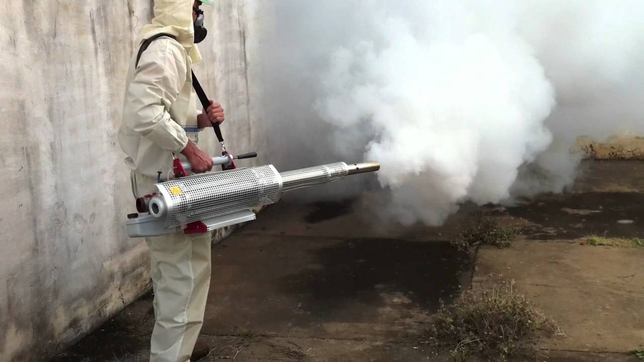 ФОТО Уничтожение мух в Егорьевске