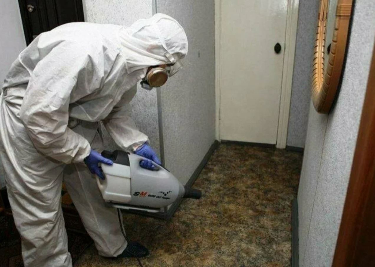 ФОТО Какие методы обработки для дезинсекции существуют в Егорьевске? | подробно