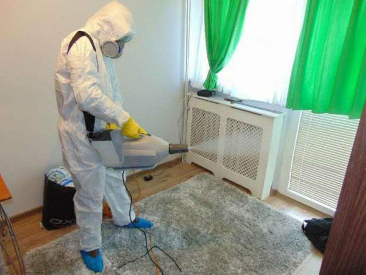 ФОТО Сколько времени занимает обработка при дезинсекции в Егорьевске? | подробно