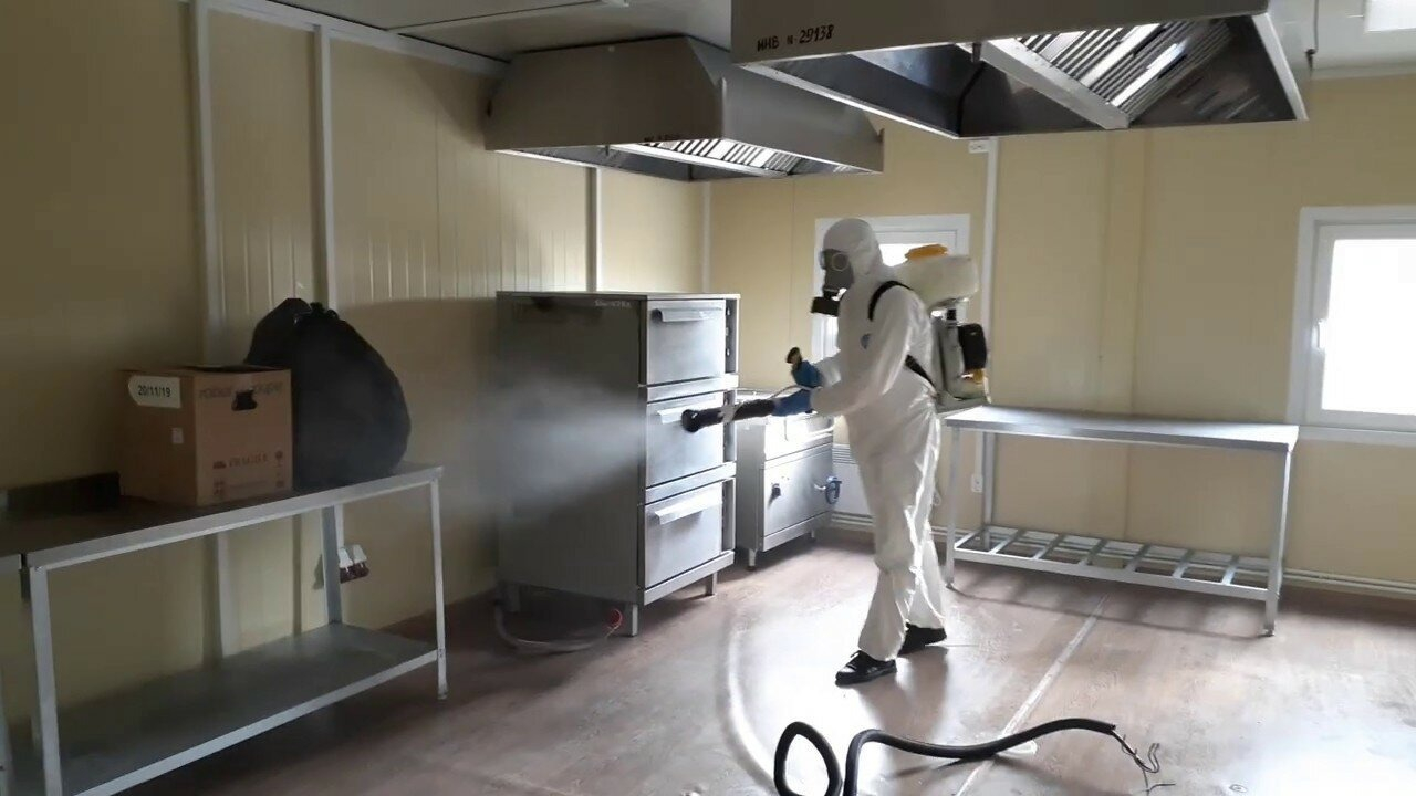 ФОТО Можно ли провести дезинсекцию самостоятельно и какие существуют риски в Егорьевске? | подробно