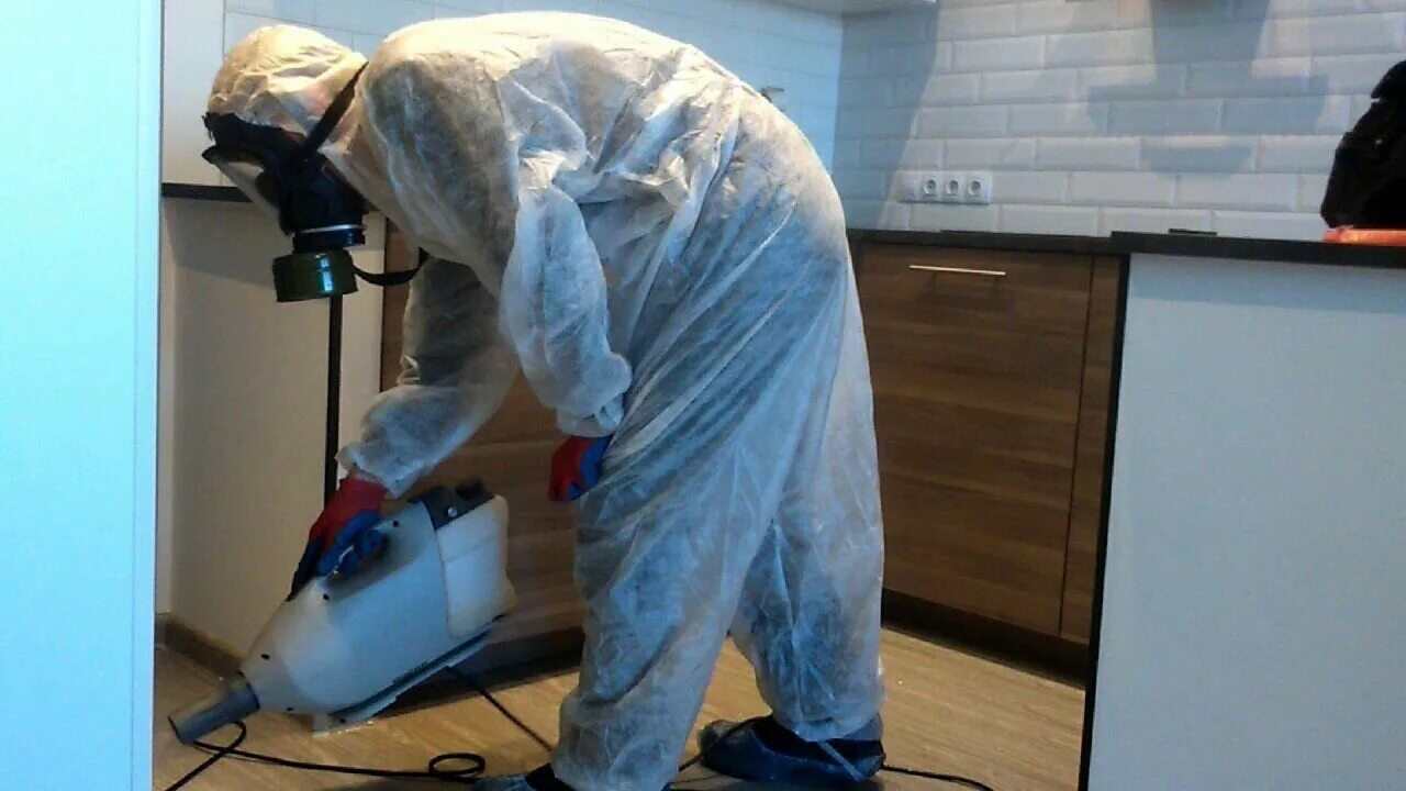 ФОТО Как подготовить домашних животных к обработке от насекомых в Егорьевске? | подробно