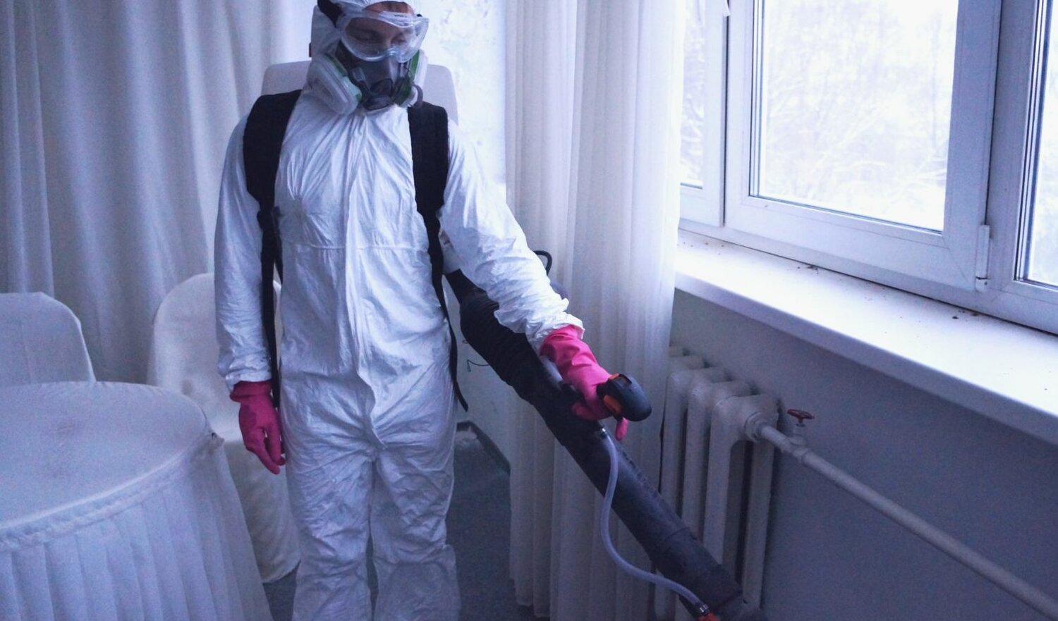 ФОТО Нужно ли выносить растения при дезинсекции в Егорьевске? | подробно