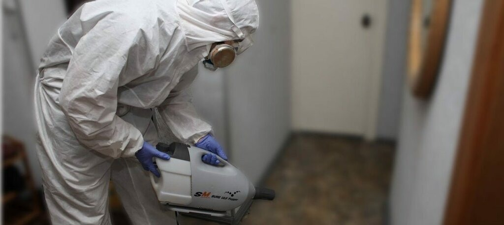 ФОТО Остаются ли следы после обработки квартиры от насекомых в Егорьевске? | подробно