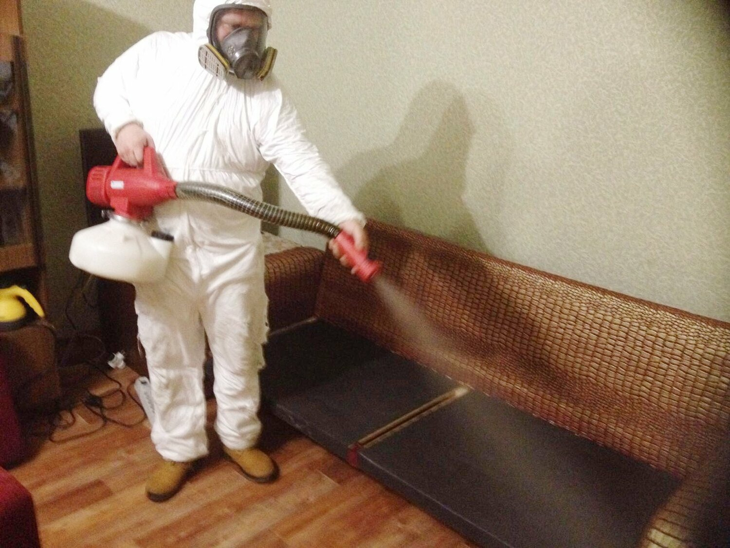 ФОТО Когда можно вернуться в помещение после дезинсекции в Егорьевске? | подробно